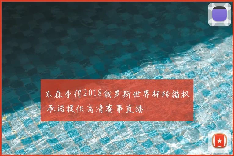 东森夺得2018俄罗斯世界杯转播权 承诺提供高清赛事直播