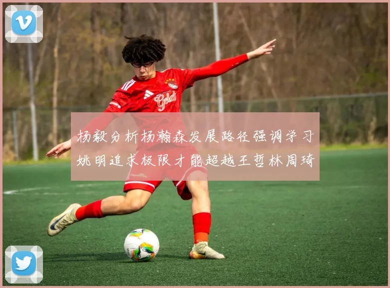 杨毅分析杨瀚森发展路径强调学习姚明追求极限才能超越王哲林周琦状态