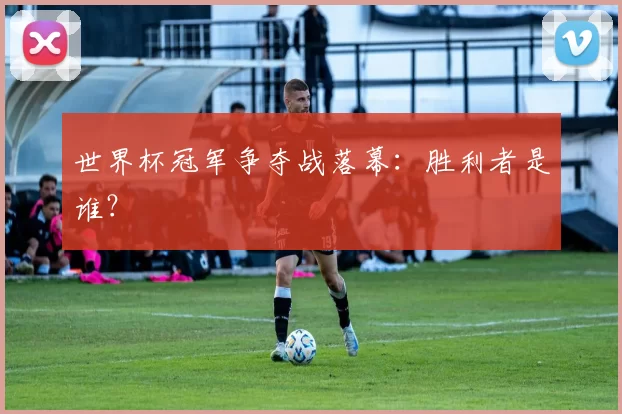 世界杯冠军争夺战落幕：胜利者是谁？