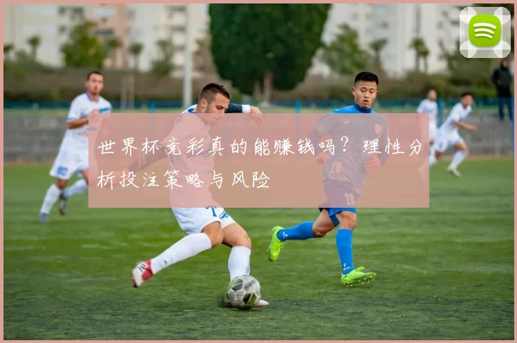 世界杯竞彩真的能赚钱吗？理性分析投注策略与风险