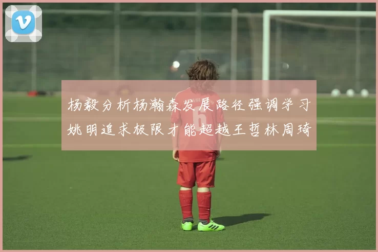 杨毅分析杨瀚森发展路径强调学习姚明追求极限才能超越王哲林周琦状态