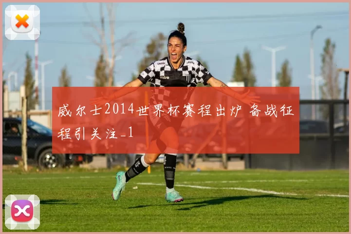 威尔士2014世界杯赛程出炉 备战征程引关注_1