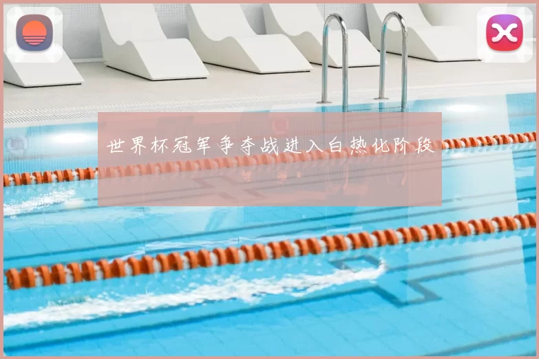 世界杯冠军争夺战进入白热化阶段