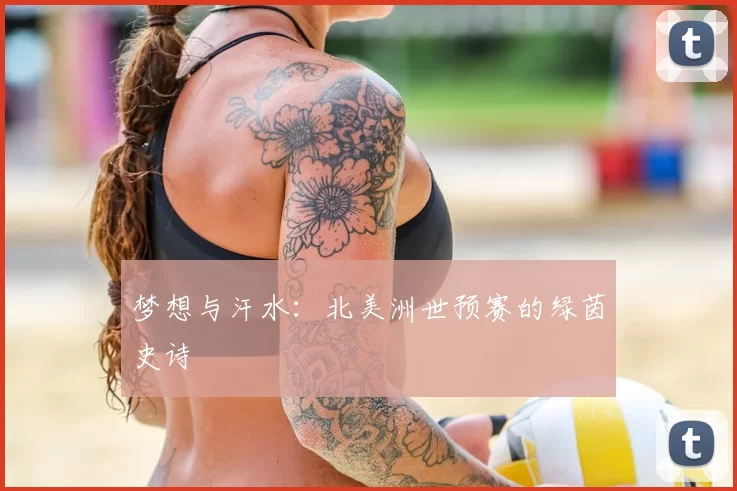 梦想与汗水：北美洲世预赛的绿茵史诗