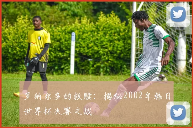 罗纳尔多的救赎：揭秘2002年韩日世界杯决赛之战