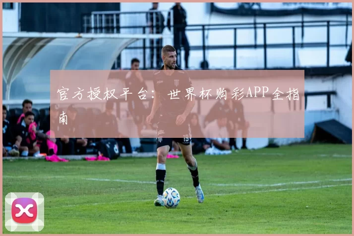 官方授权平台：世界杯购彩APP全指南