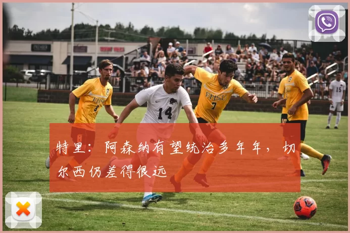 特里：阿森纳有望统治多年年，切尔西仍差得很远