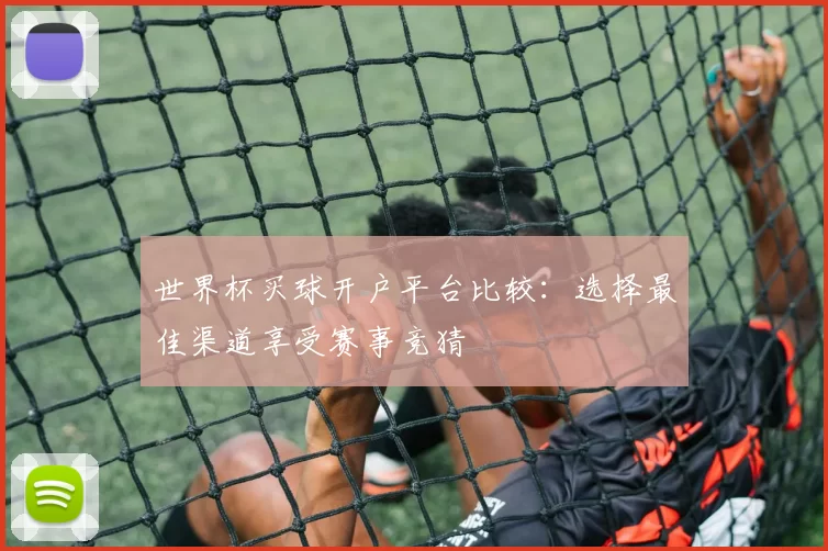 世界杯买球开户平台比较：选择最佳渠道享受赛事竞猜