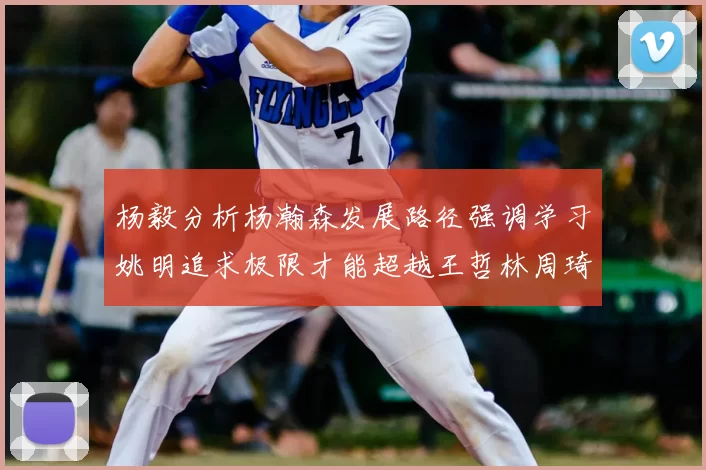 杨毅分析杨瀚森发展路径强调学习姚明追求极限才能超越王哲林周琦状态