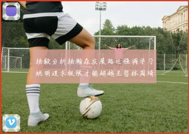 杨毅分析杨瀚森发展路径强调学习姚明追求极限才能超越王哲林周琦状态