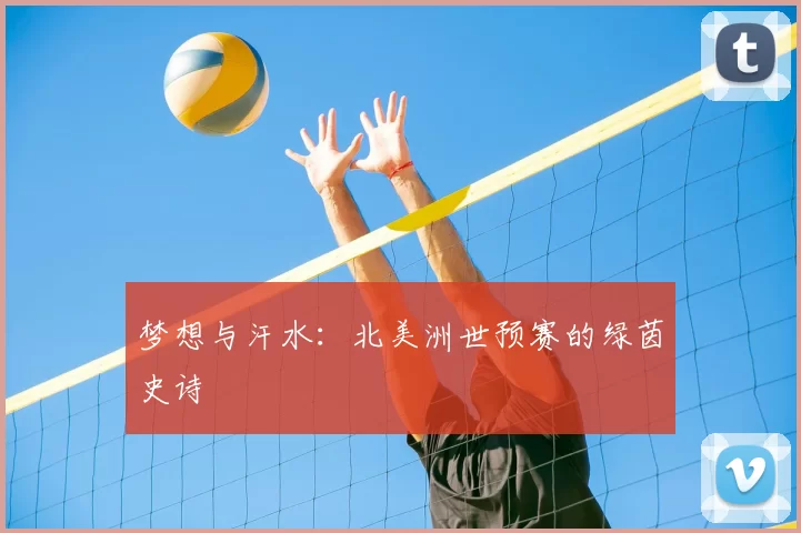 梦想与汗水:北美洲世预赛的绿茵史诗