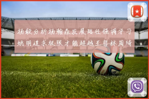 杨毅分析杨瀚森发展路径强调学习姚明追求极限才能超越王哲林周琦状态