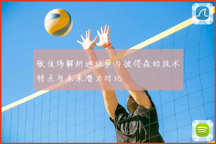 张佳玮解析迪班萨与彼得森的技术特点与未来潜力对比